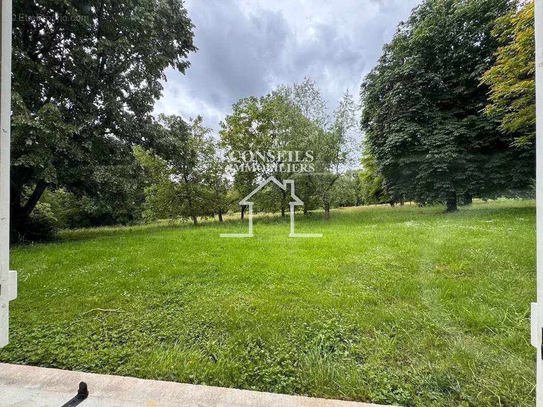ST JULIEN DU SAULT /VERLIN dans endroit exceptionnel - photo 26