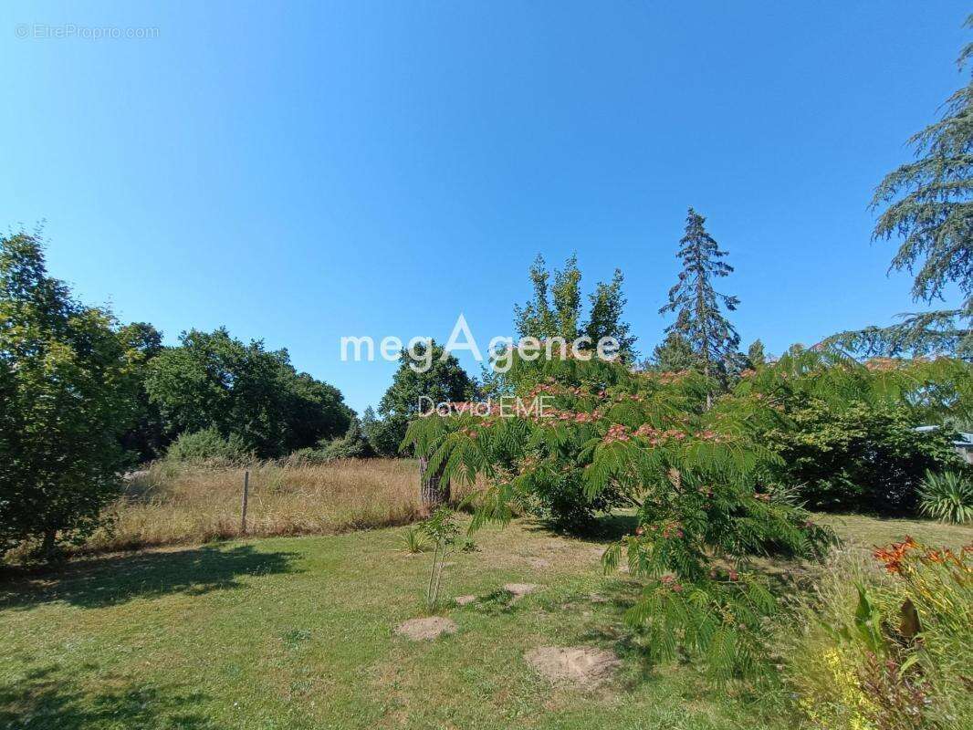 5 Pièces, 101 m2, 3 chambres, terrain 5200 m2 - photo 3
