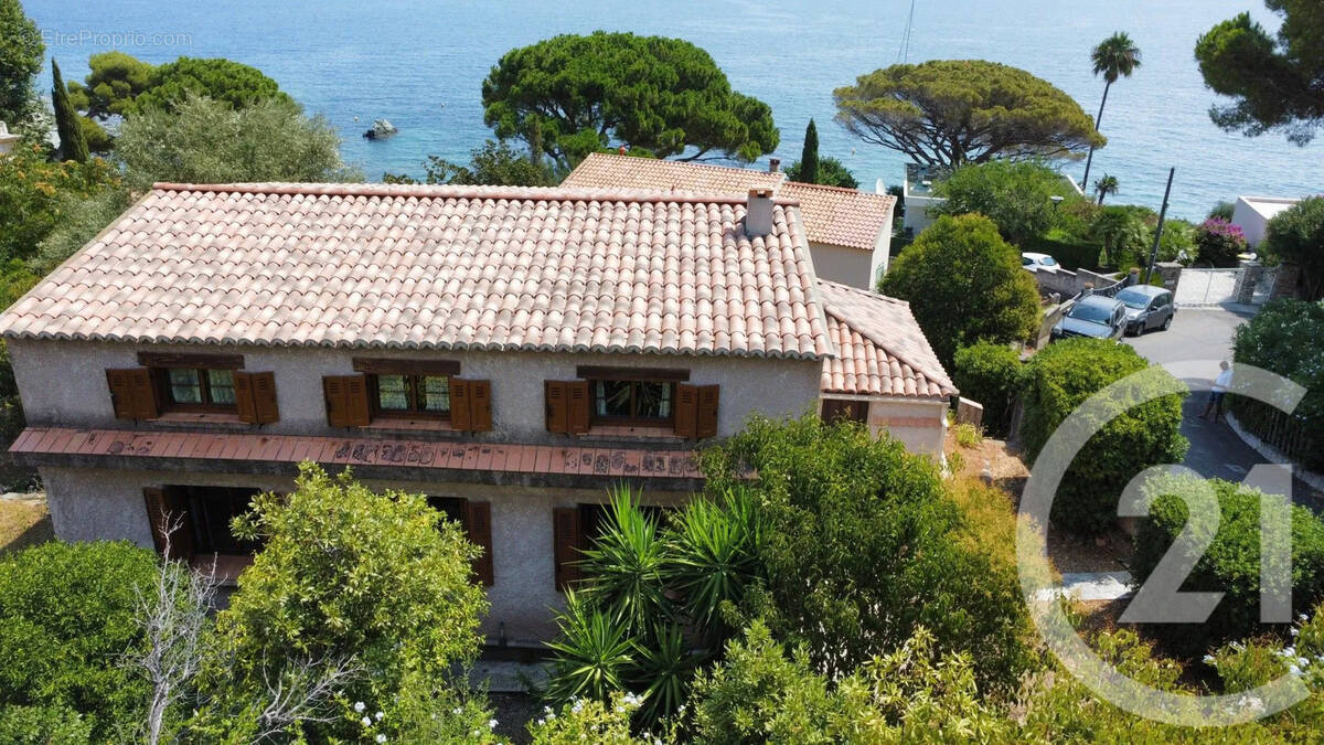 Maison à SAN-MARTINO-DI-LOTA