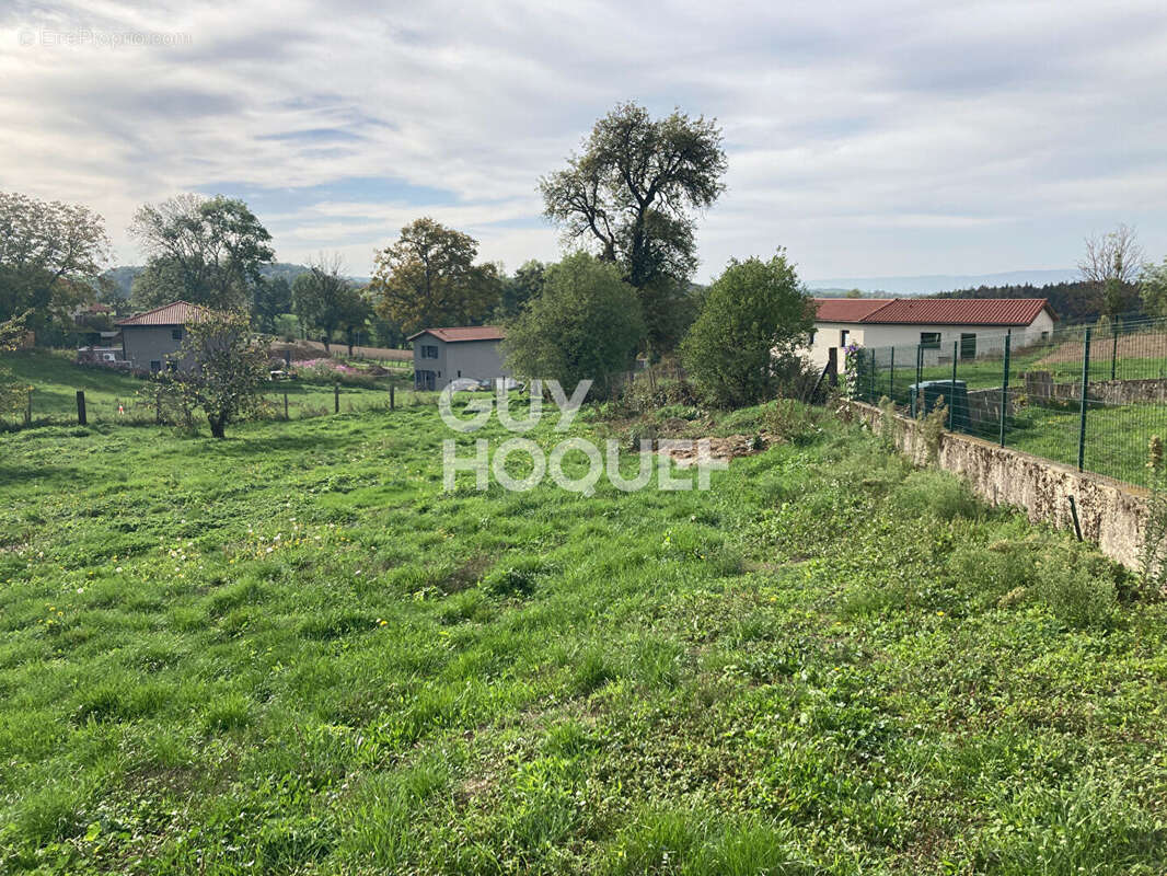 Terrain à SAINT-MARTIN-LESTRA