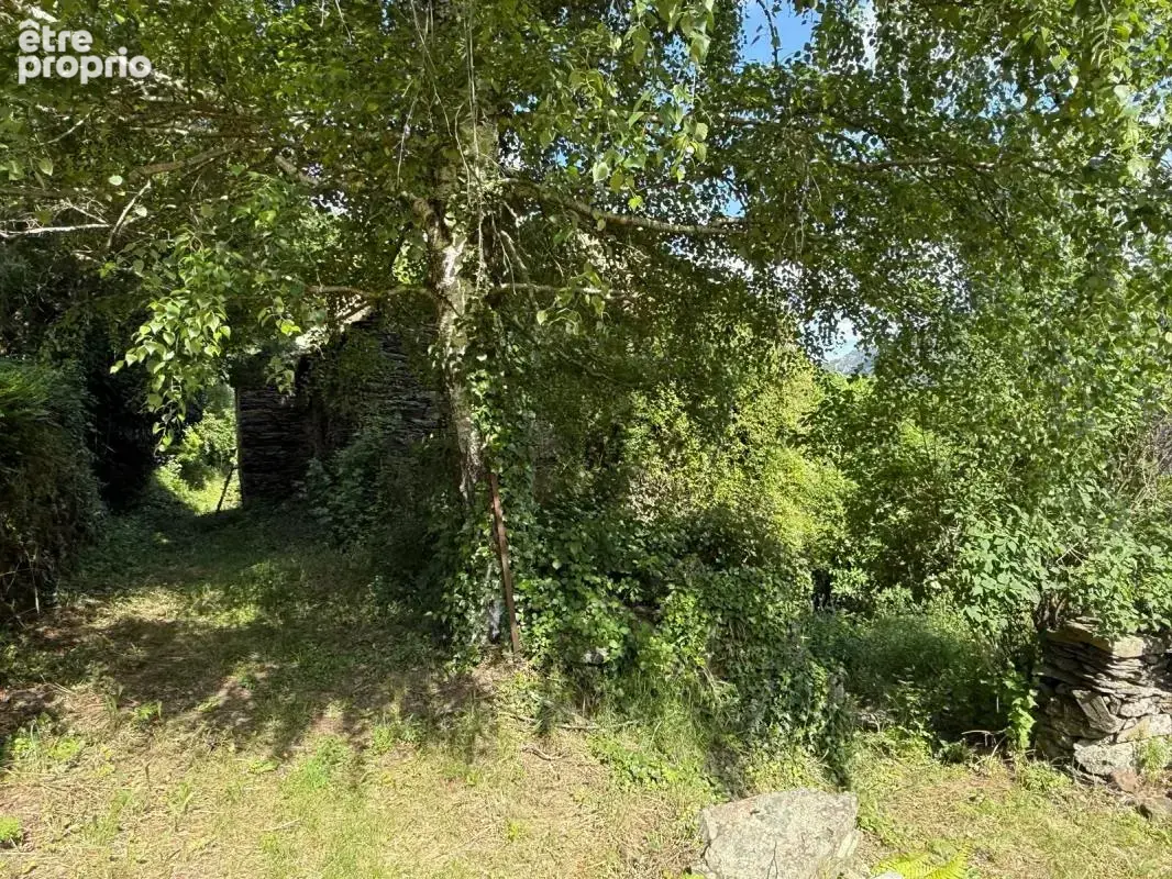 Maison À Vendre - photo 12