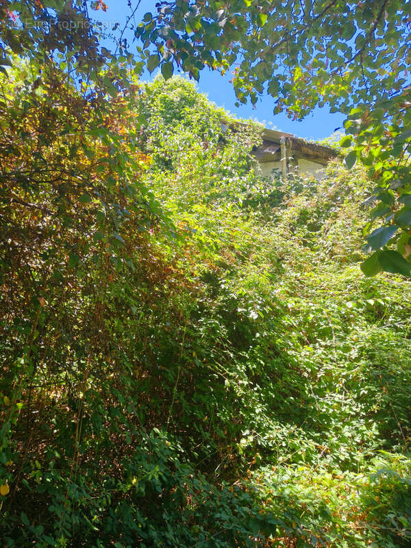 Laurède -Charme et authenticité   Ancienne maison à rénover sur terrain de 565 m2 - photo 20