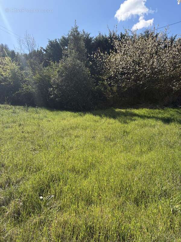 Terrain 820 m² à Coux  - photo 8