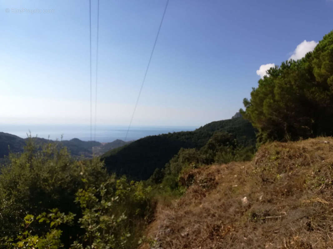 Terrain à CASTILLON