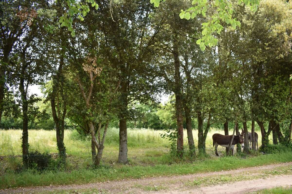 Maison à BEAUVOIR-SUR-NIORT