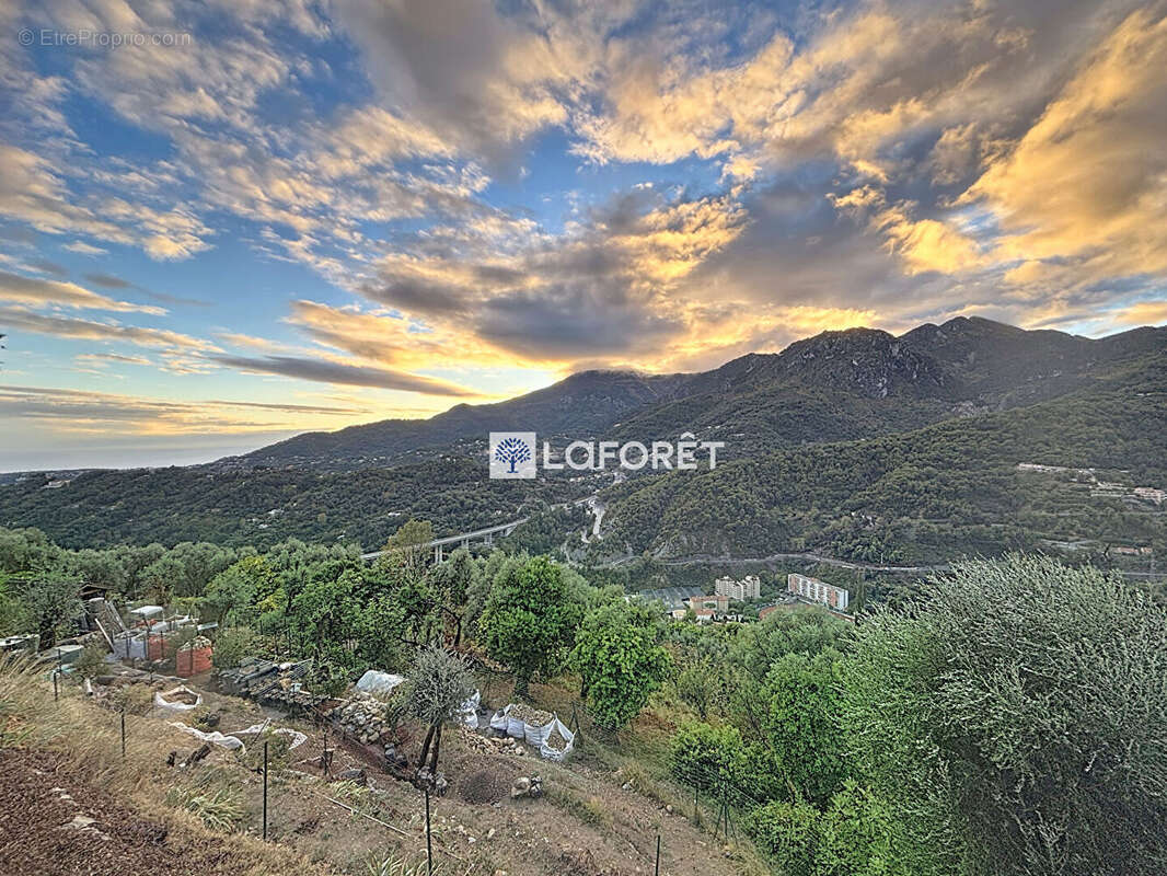 Terrain à CASTELLAR