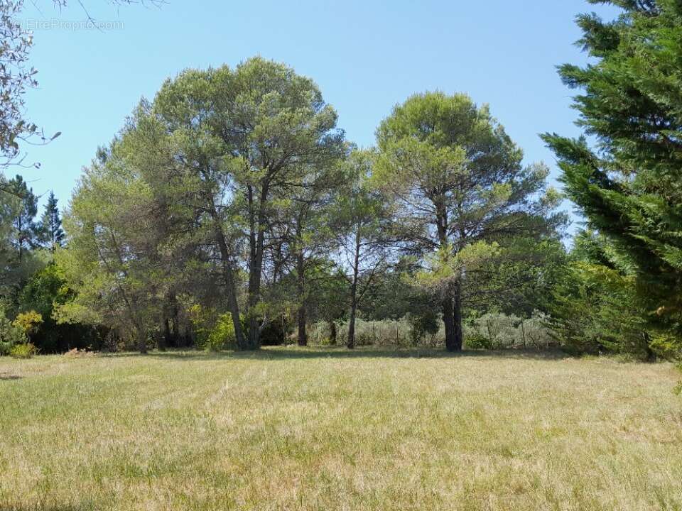 Terrain à LE VAL