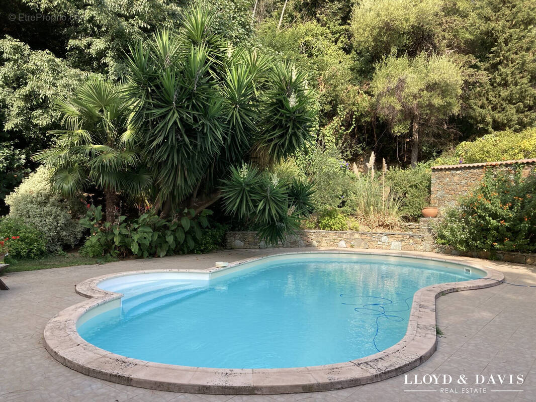 Maison à SAN-MARTINO-DI-LOTA