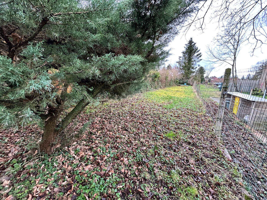 Maison à NOEUX-LES-MINES