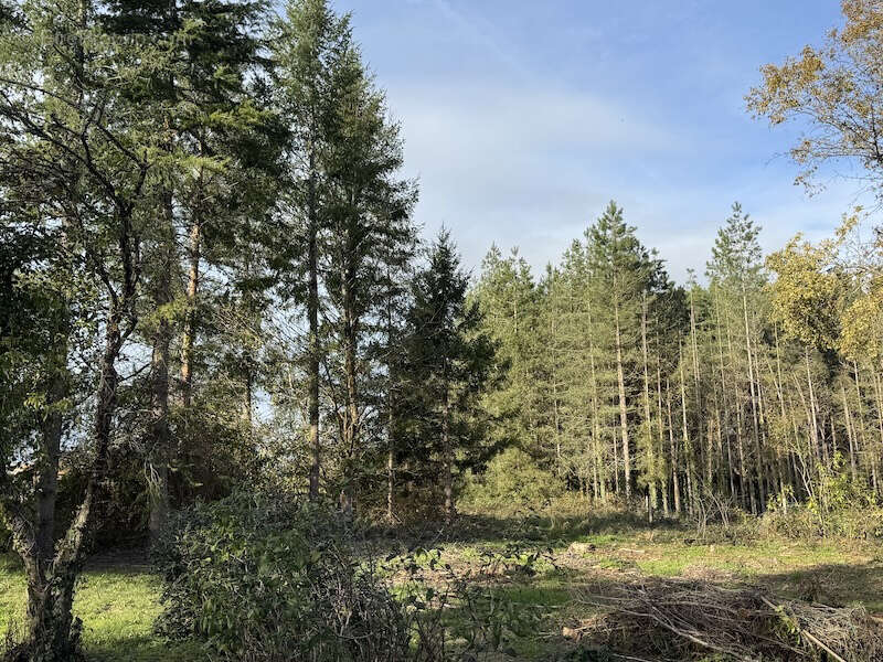 Maison à SAINT-PIERRE-DU-PALAIS