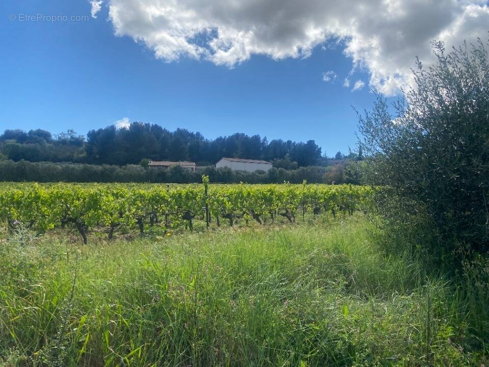 Terrain à GINESTAS