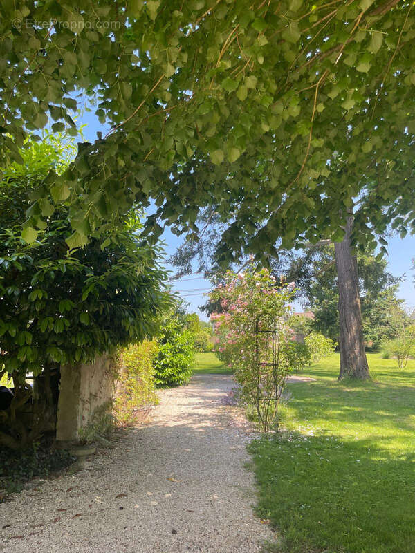 Maison à SAINT-PRYVE-SAINT-MESMIN