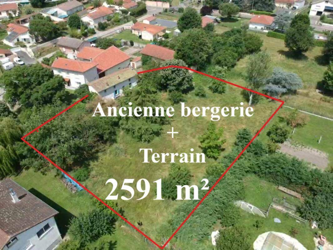Terrain à SAINT-ROMAIN-LE-PUY