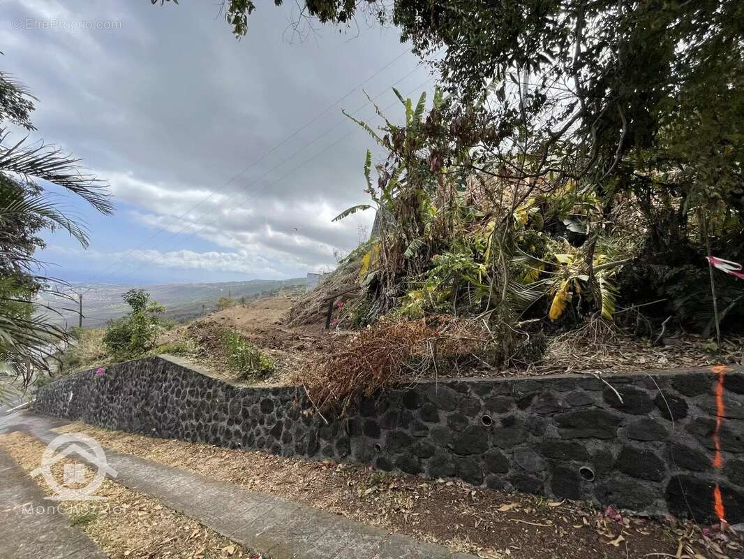 Terrain à SAINT-LEU