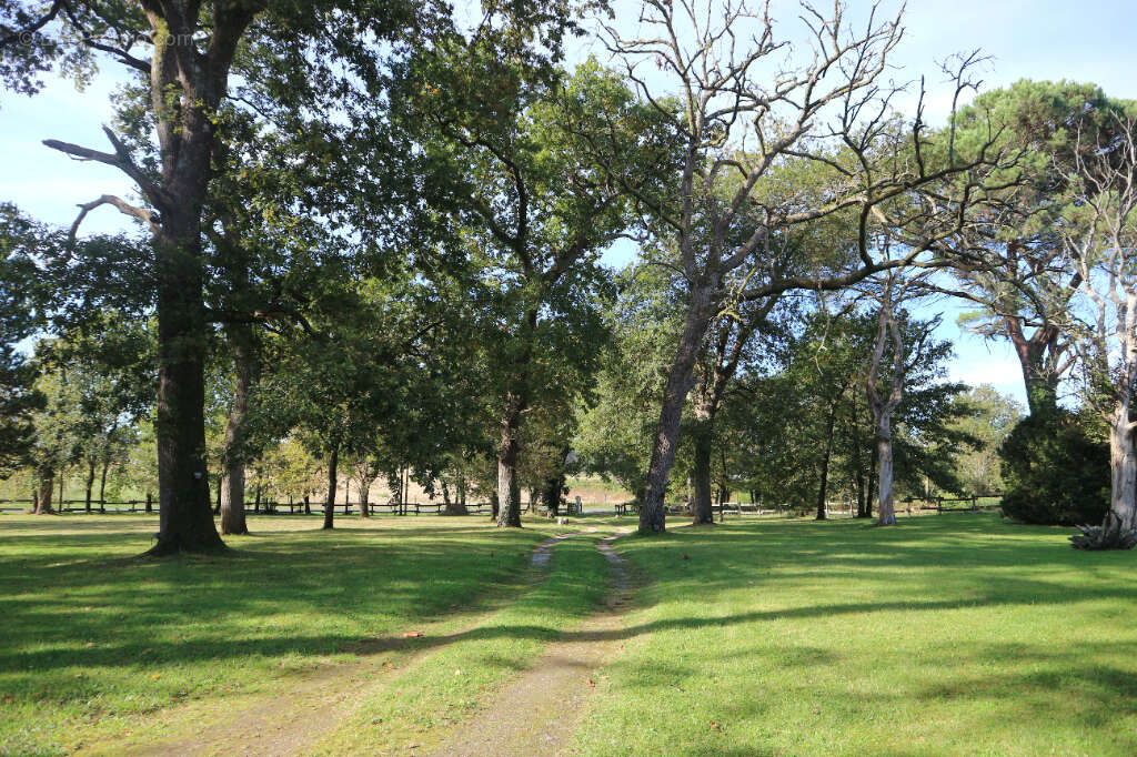 Maison à SAINT-YAGUEN