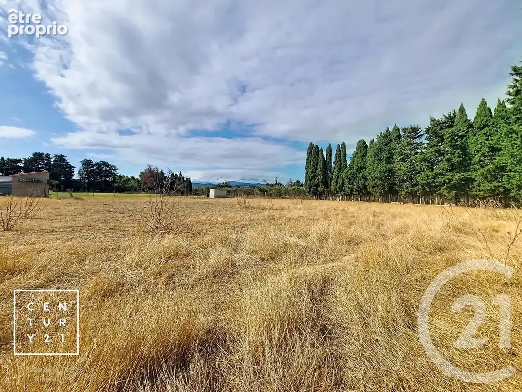Terrain 24 425 m² à vendre à Corneilla-La-Riviere (66550) - photo 6