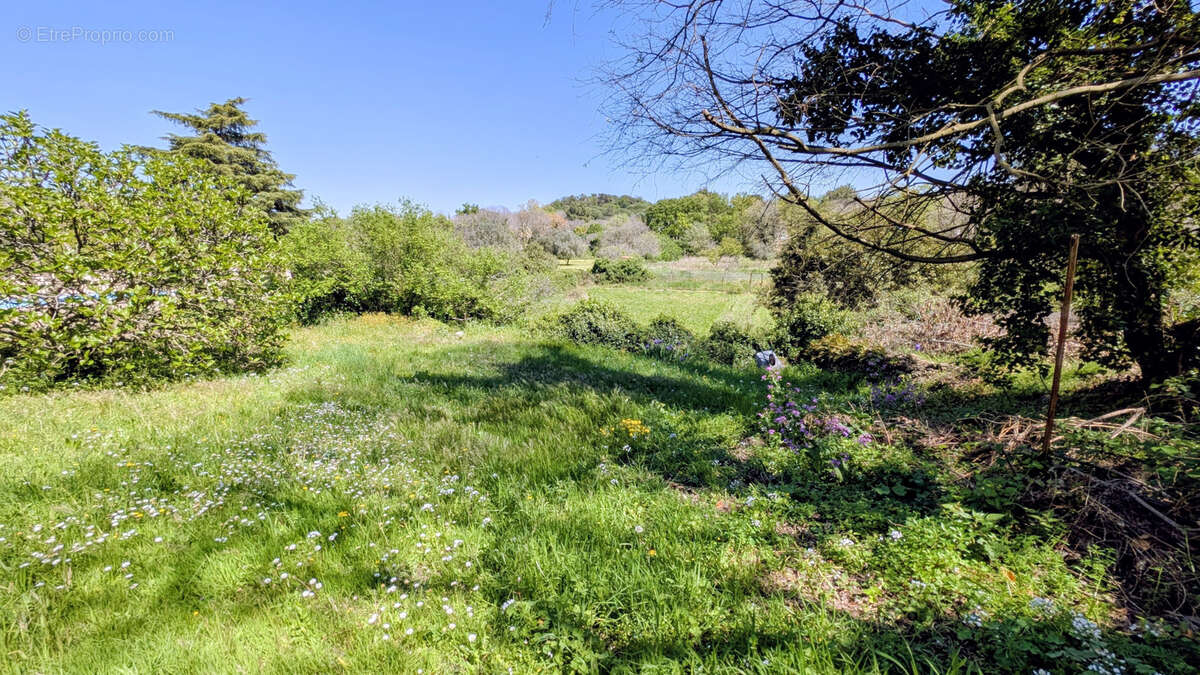 Maison à LAROQUE-DES-ALBERES