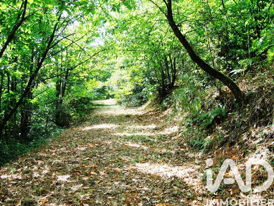 Photo 4 - Maison à LE VIGAN