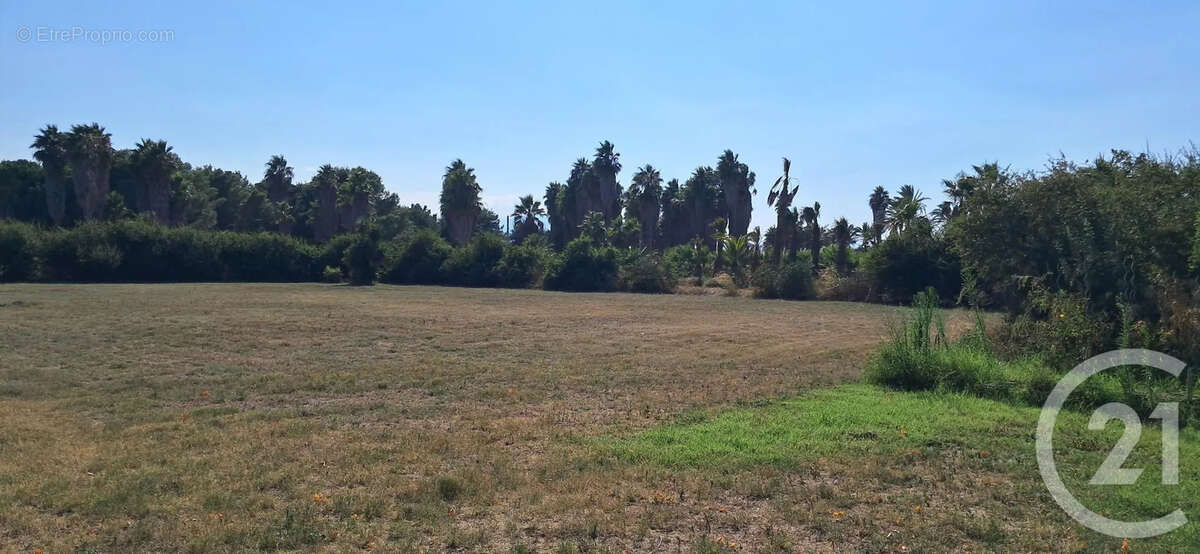 Maison à SAINT-CYPRIEN