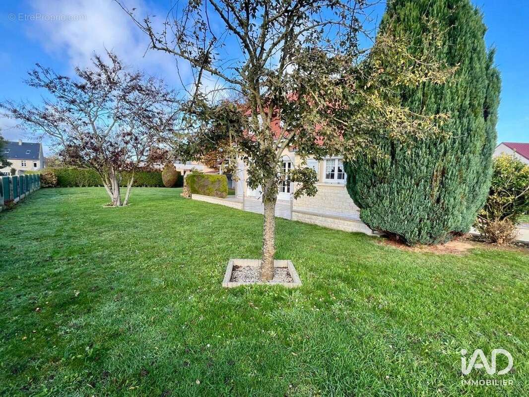 Photo 3 - Maison à SAINTE-CROIX-SUR-MER