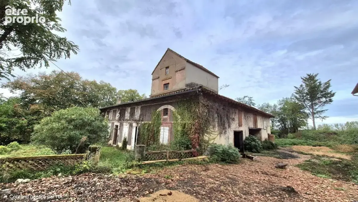 Maison 8 pièces 580 m² à vendre à Castelnau-D'estretefonds (31620) - photo 3