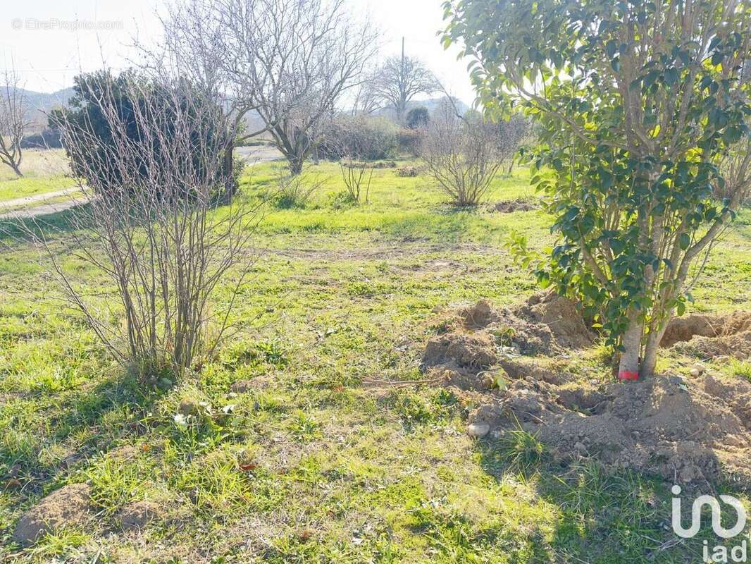 Photo 2 - Terrain à SAINT-ALEXANDRE