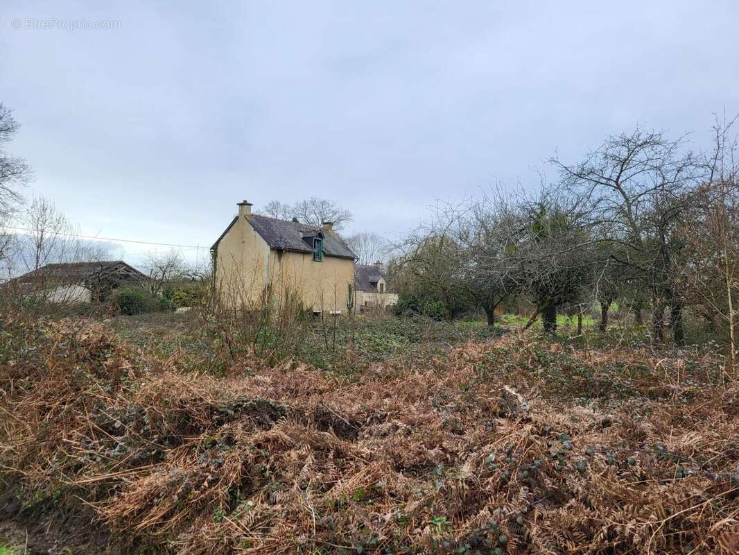 Photo 9 - Maison à GUEGON