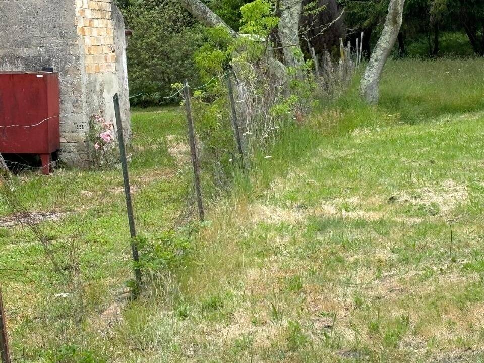 Terrain à ARES