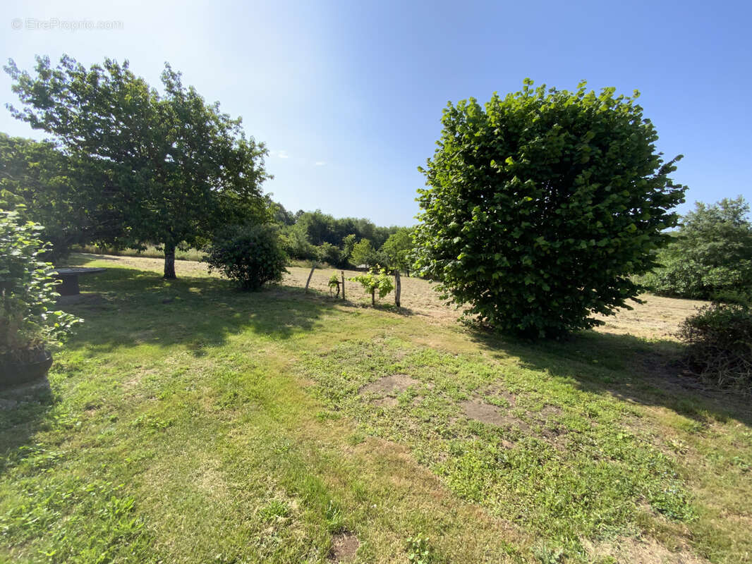 Maison à LIORAC-SUR-LOUYRE