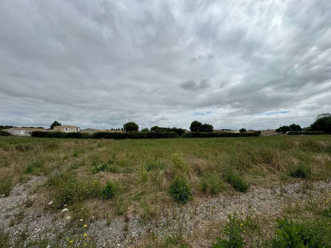 Terrain à SURGERES