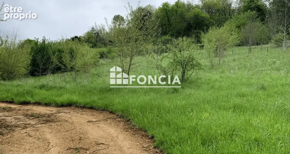 Terrain constructible entre Périgueux et Bergerac – Environnement calme et commerces à pied - photo 4