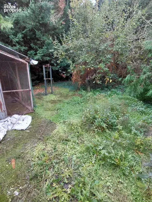 Propriété atypique - photo 29