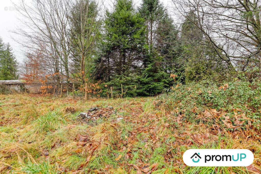 Terrain à PEYRILHAC