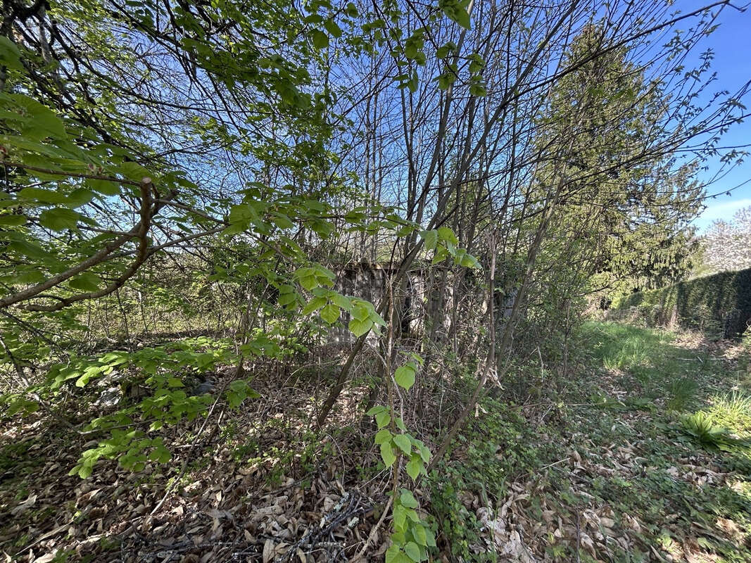 Terrain à LAGRAULIERE