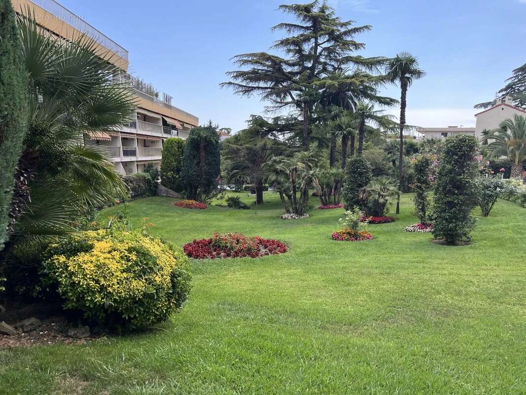 Appartement 2 pièces - 29 m2 - Cannes - photo 7