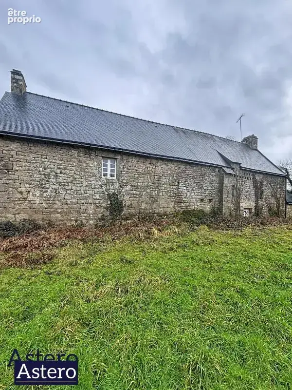 Manoir du xviéme-20 minutes de pontivy-2 hectares - photo 9