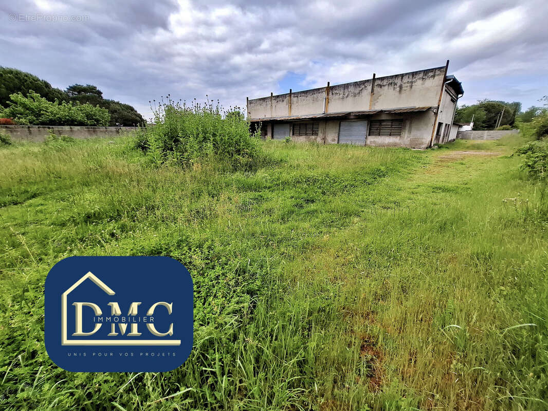 Commerce à AUTERIVE