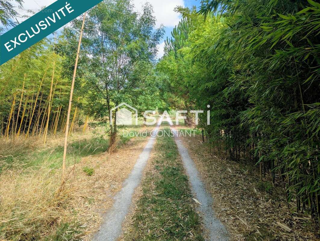 Photo 4 - Maison à VARAIZE