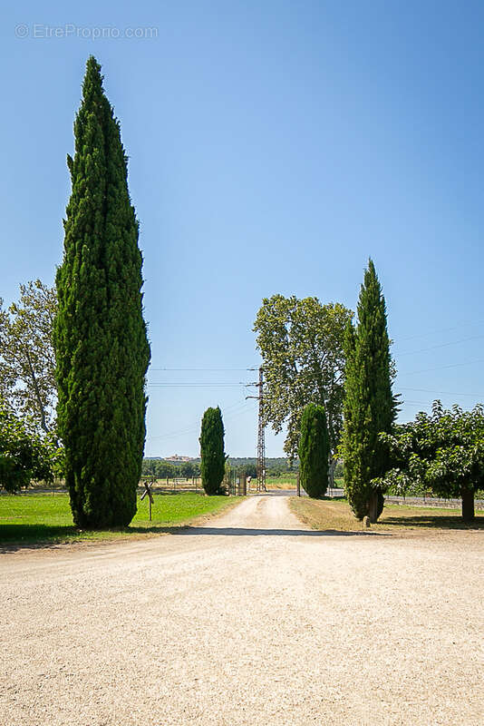 Commerce à MALLEMORT