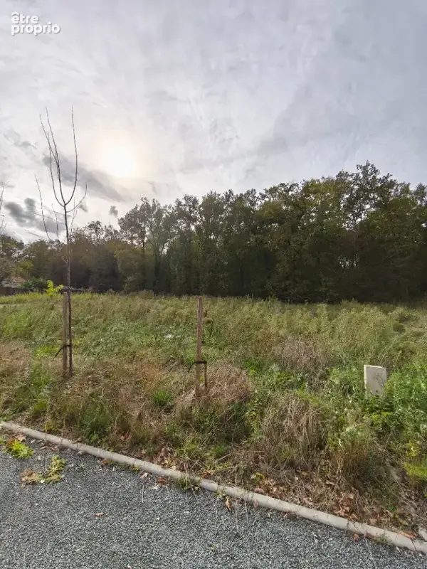 Terrain 400 m² à vendre à Avensan (33480) - photo 3