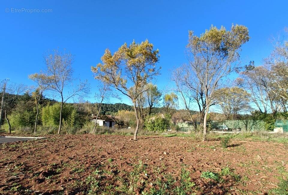 Terrain à LE LUC