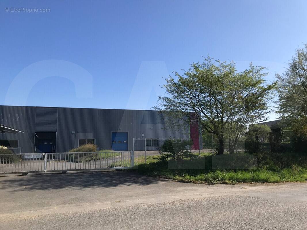 Autre à SAINT-ETIENNE-EN-COGLES