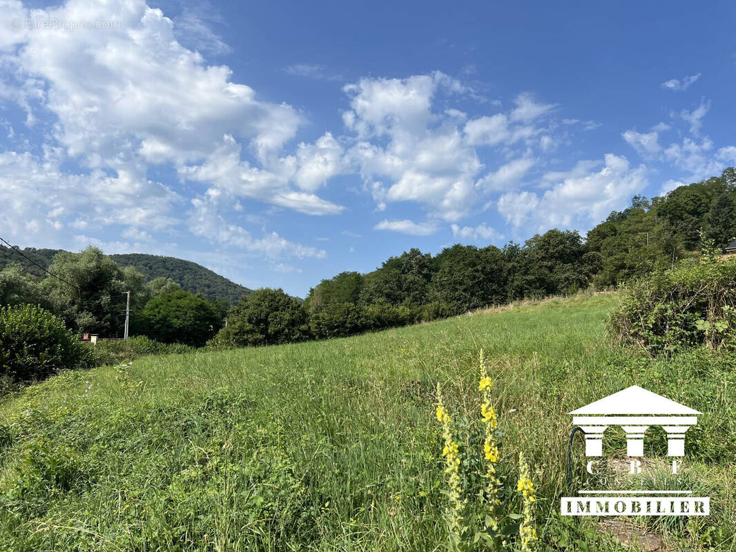 Terrain à SAINT-SERNIN-DU-BOIS