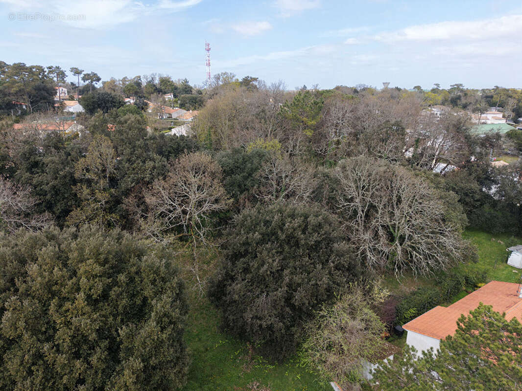 Terrain à MESCHERS-SUR-GIRONDE