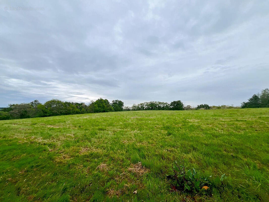 Terrain à HORSARRIEU