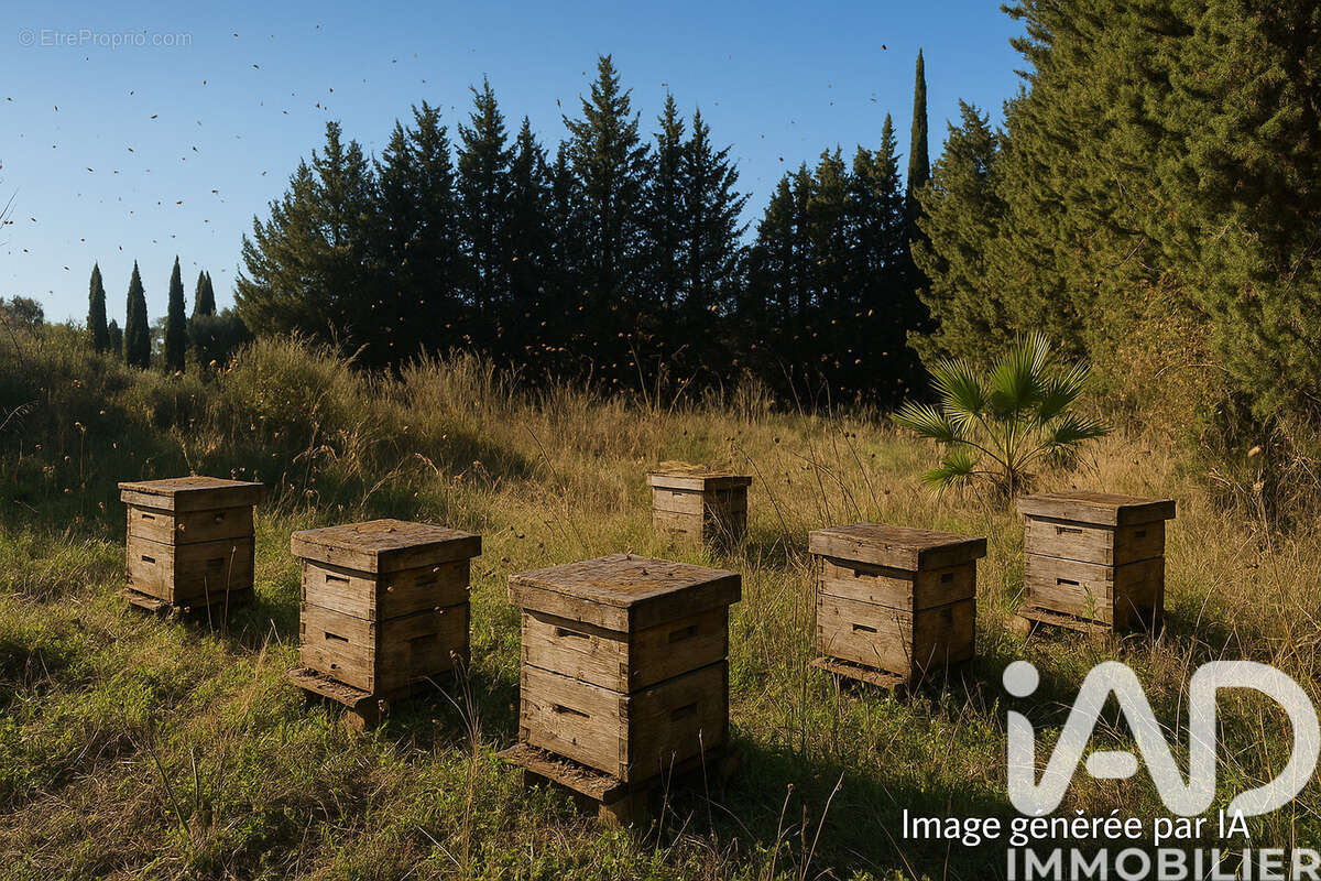 Photo 3 - Terrain à QUARANTE