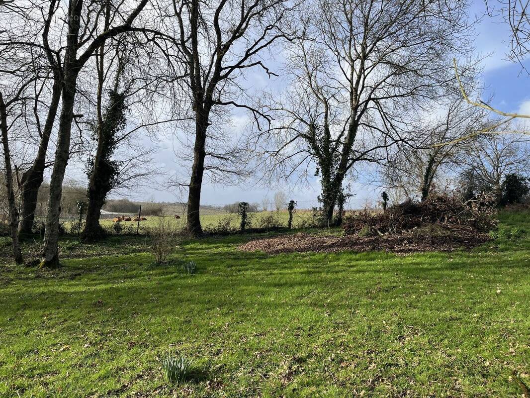 Terrain à SAINT-FIACRE-SUR-MAINE