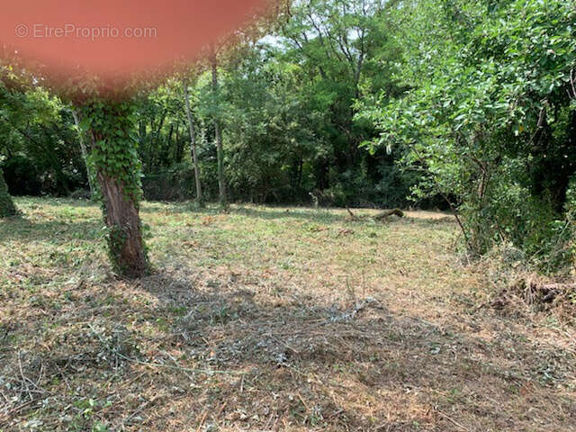 Terrain à CLAMECY