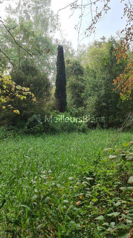 Terrain à MEZIDON-CANON