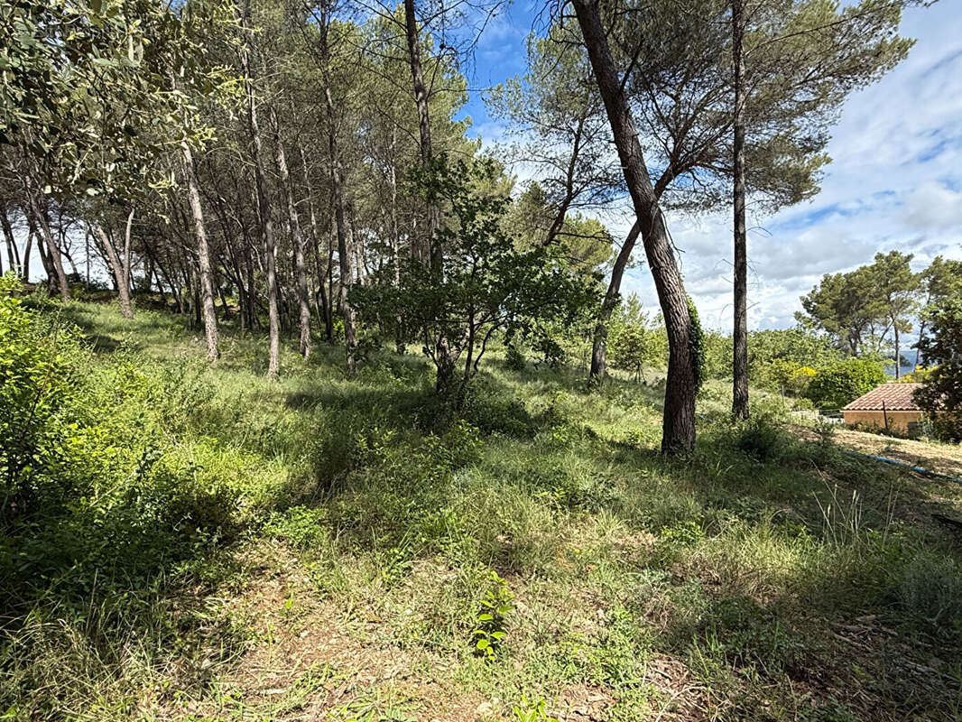Terrain à LA ROQUE-D'ANTHERON